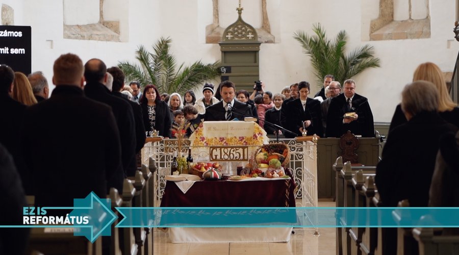 202511_EZISREF_Halaado_nap_fekvo_borito