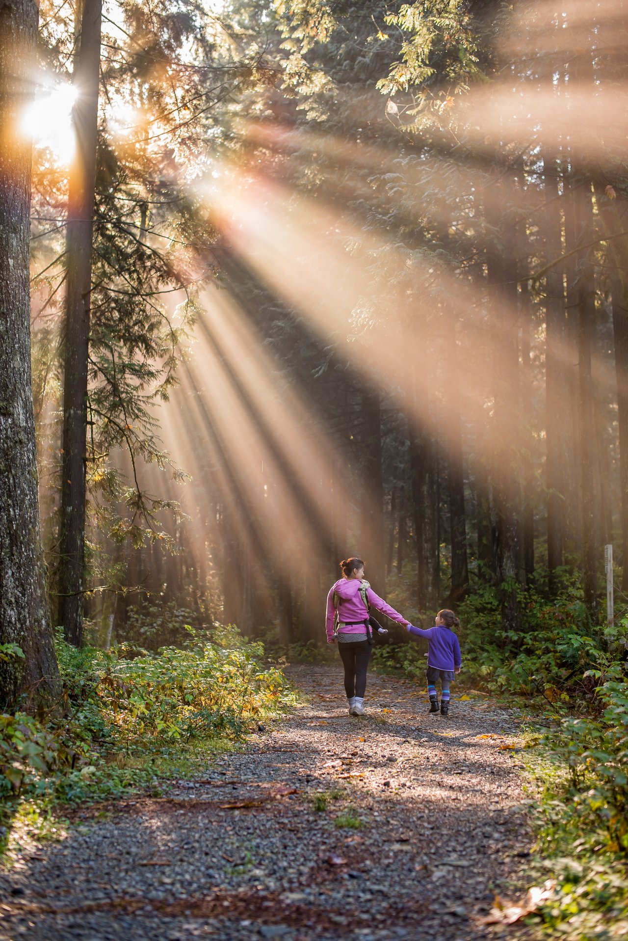 Szabadság, pihenés, erdő, séta, gyermek, fa, kikapcsolódás  Fotó: Unsplash