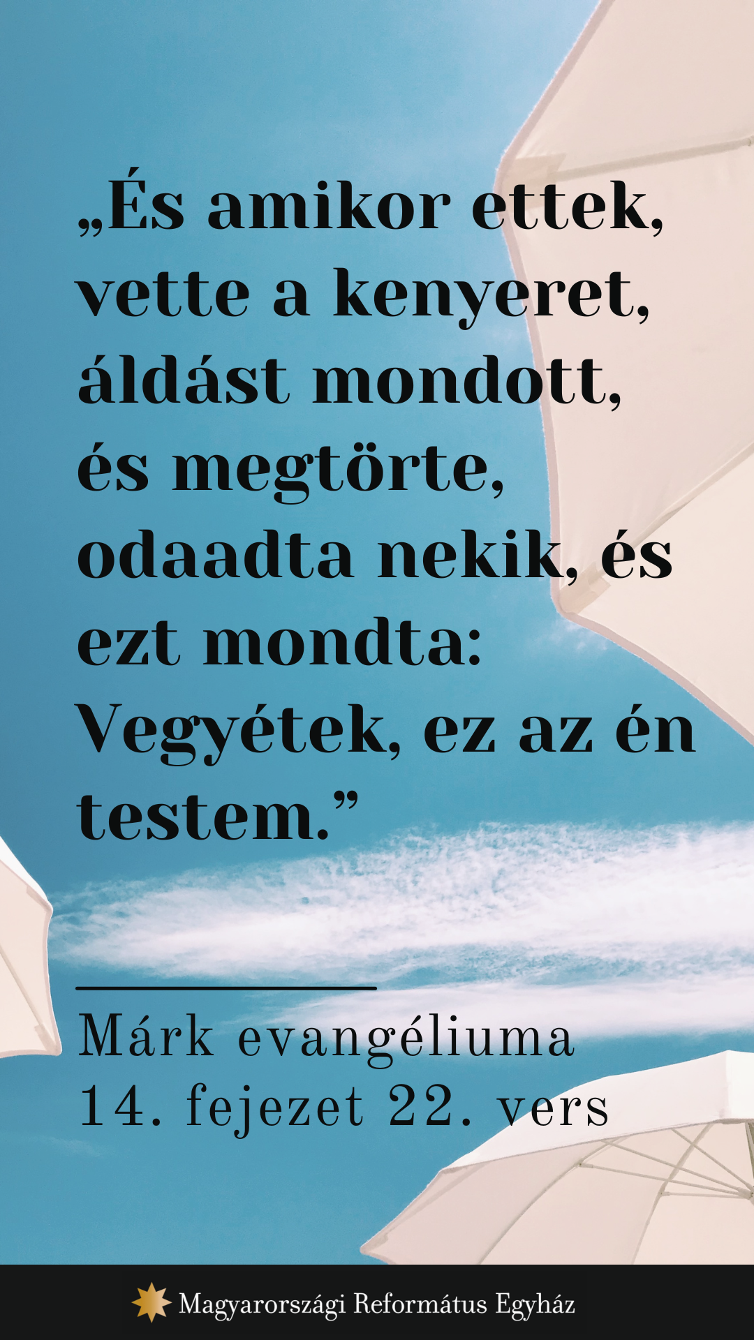 Augusztus 19