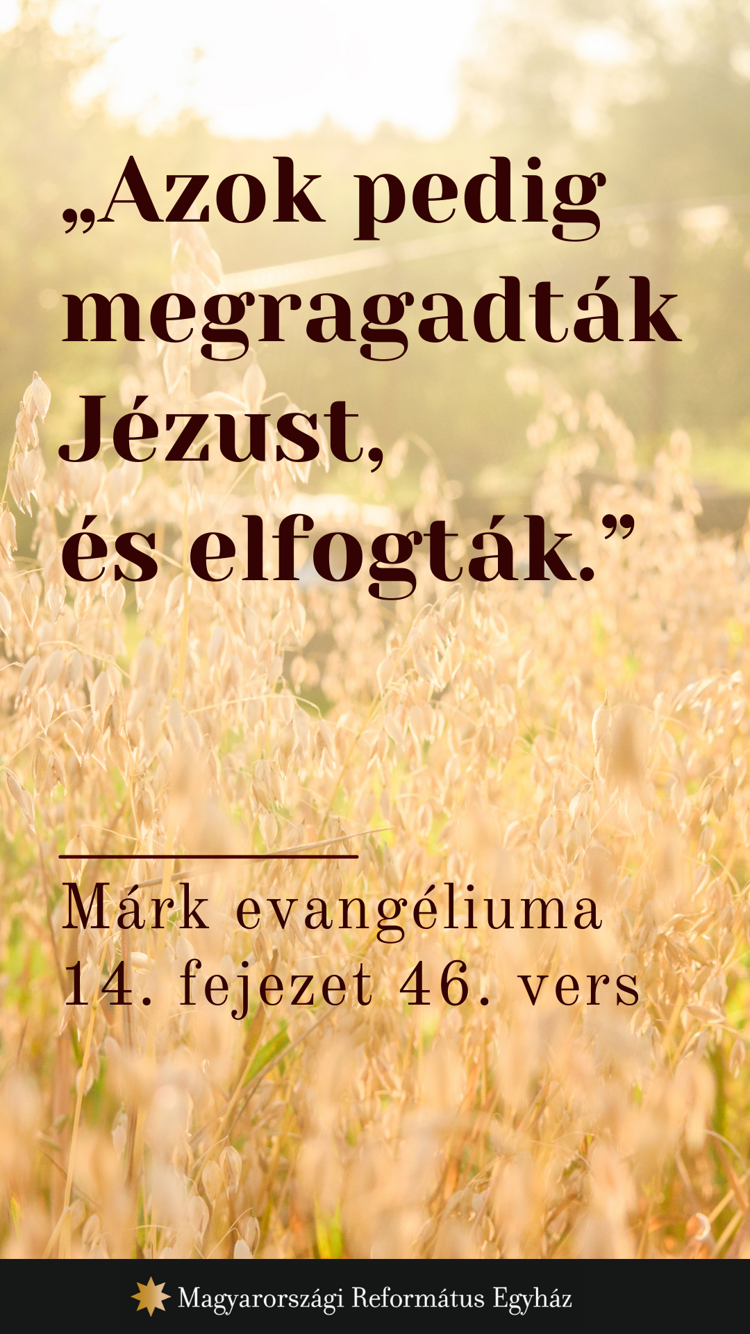 Augusztus 21