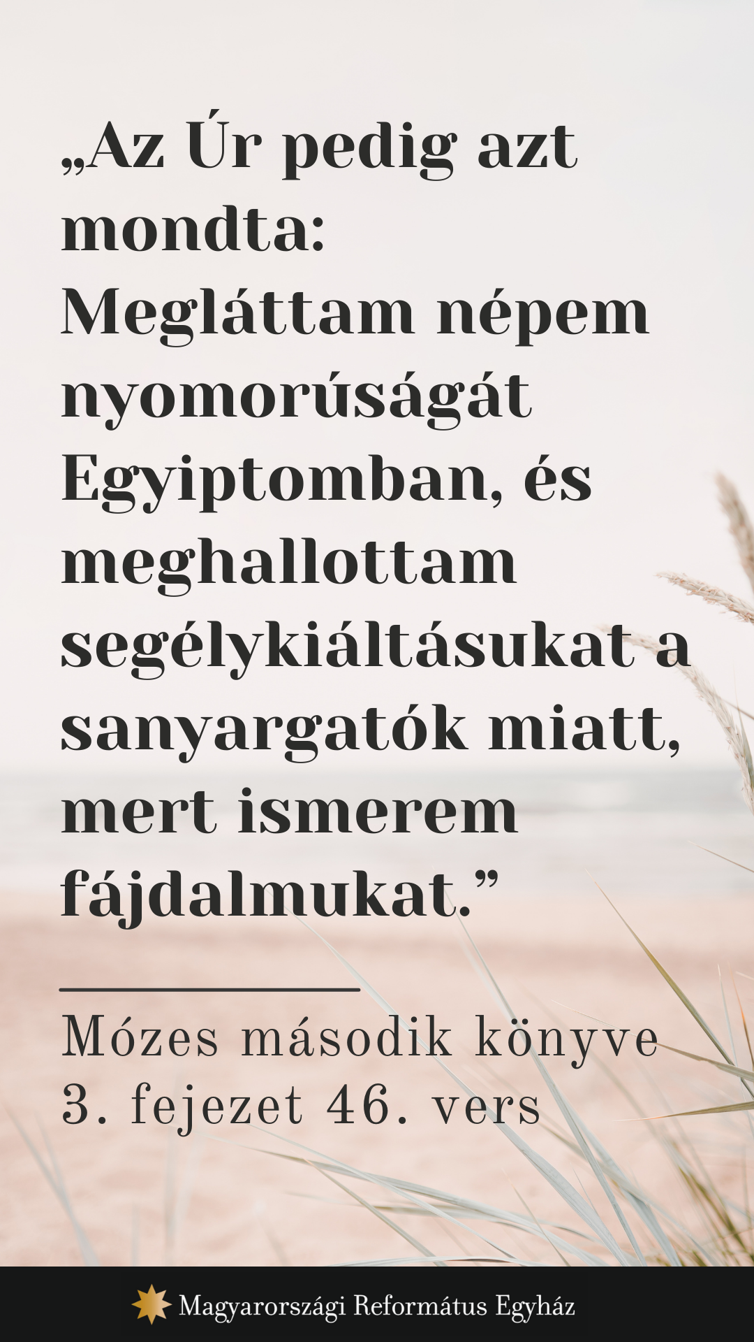 Augusztus 22