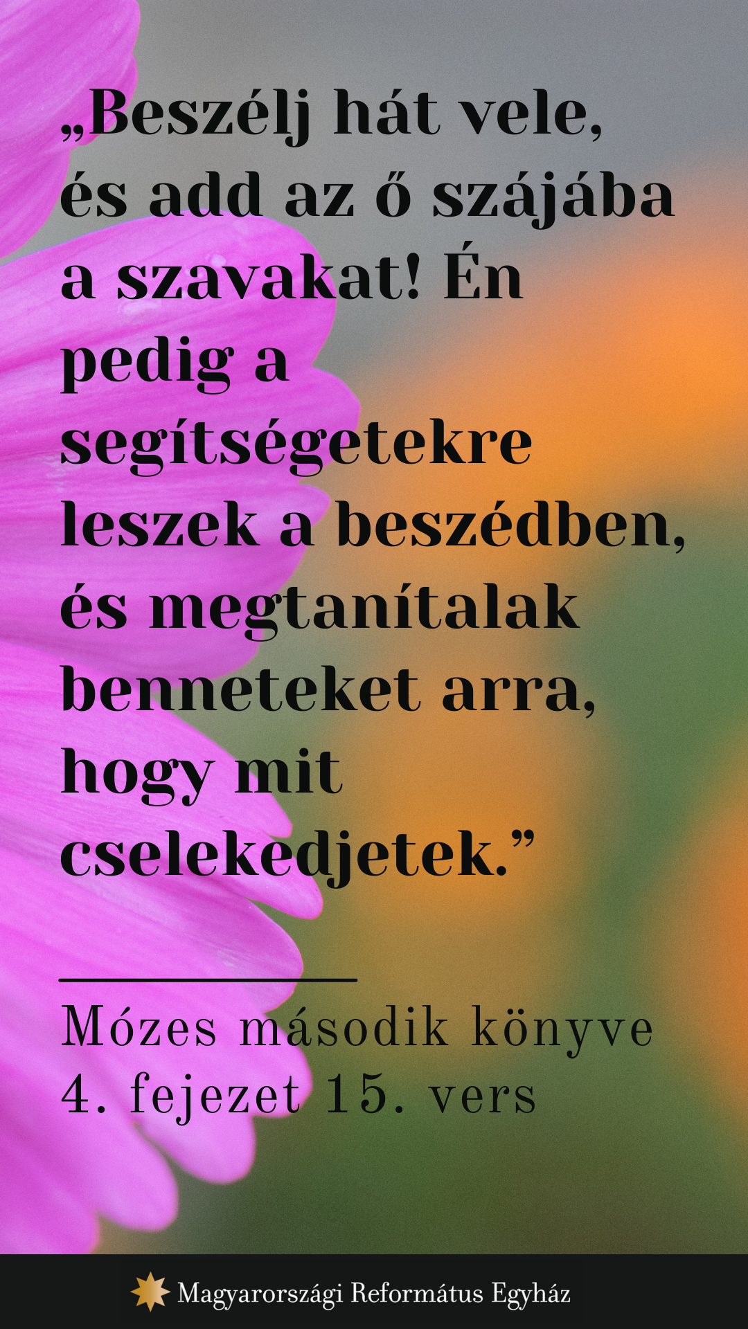 Augusztus 23