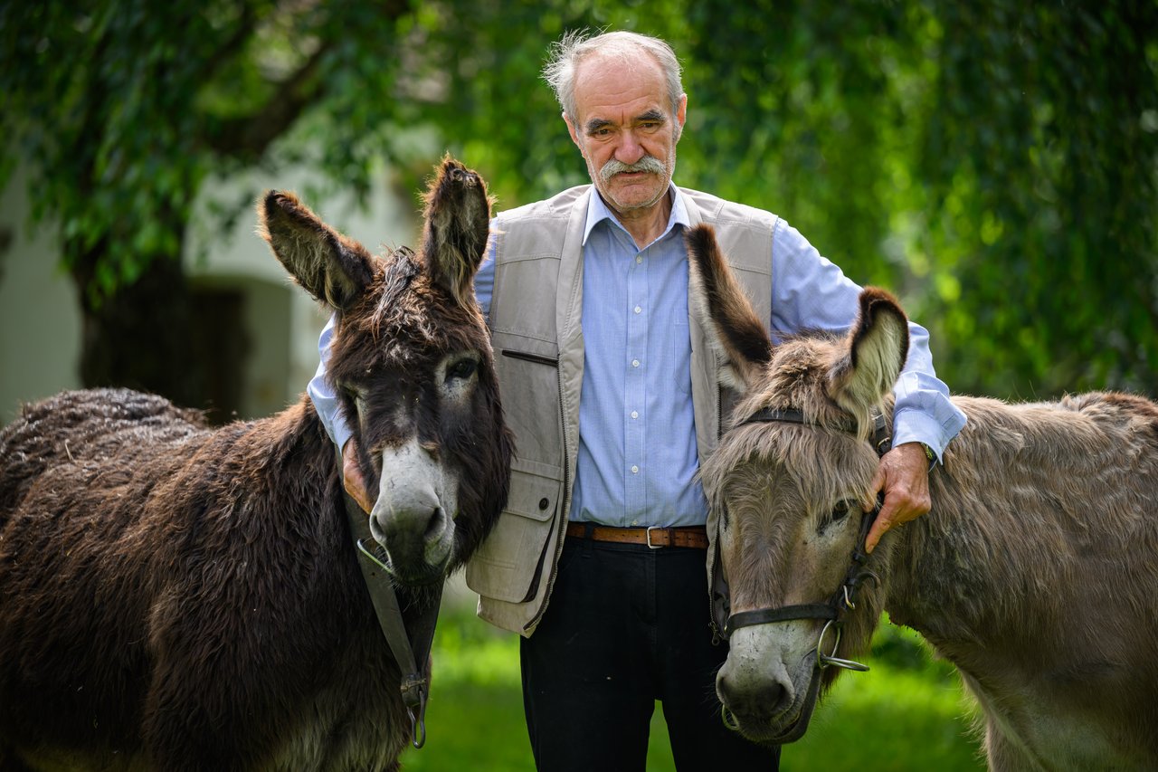 Ferentzi Sándor borítókép, Reflap 2024 (f.Rombai Péter)