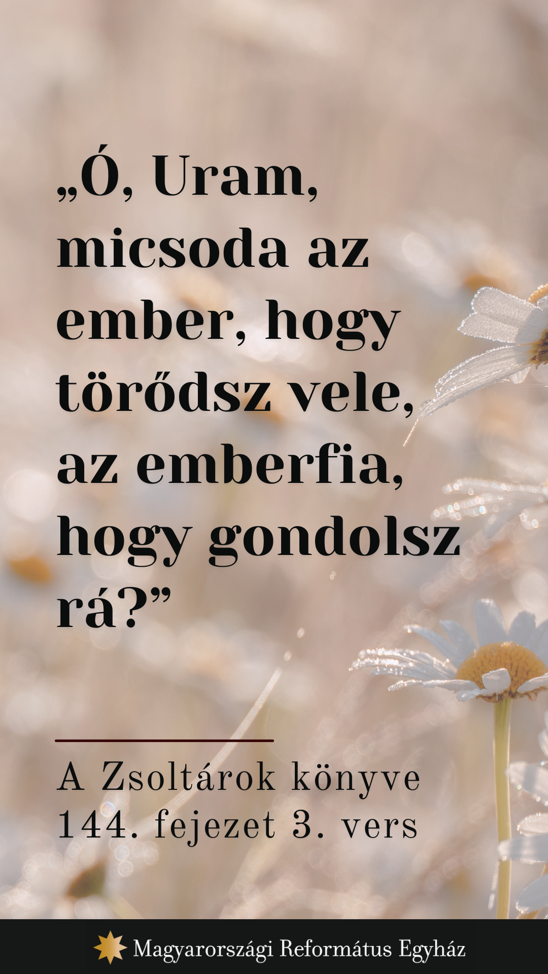 Július 21