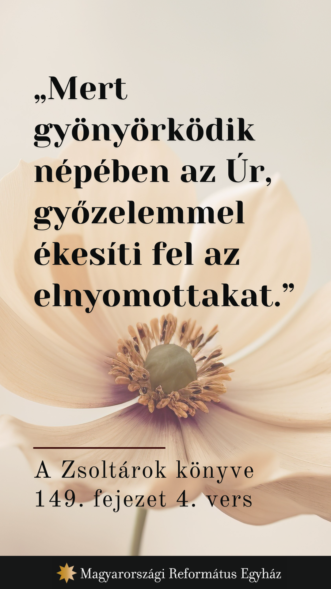 Július 26