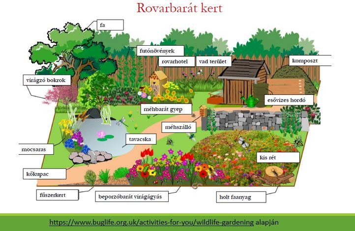 KRE fenntarthatóság, rovatbarát kert 2024