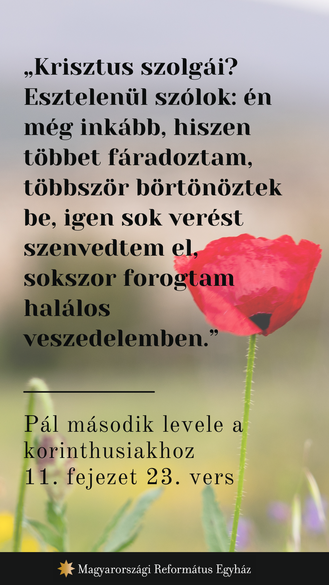 Május 18