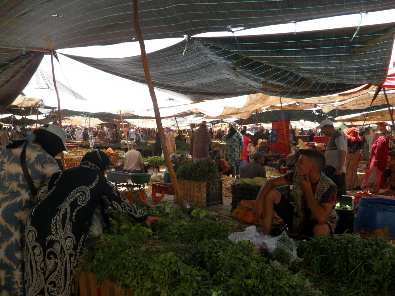 Vision School cikk 2026 misszió 3. (f.Elena és Remény archívuma)