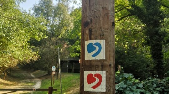 kardiótanösvény RPC