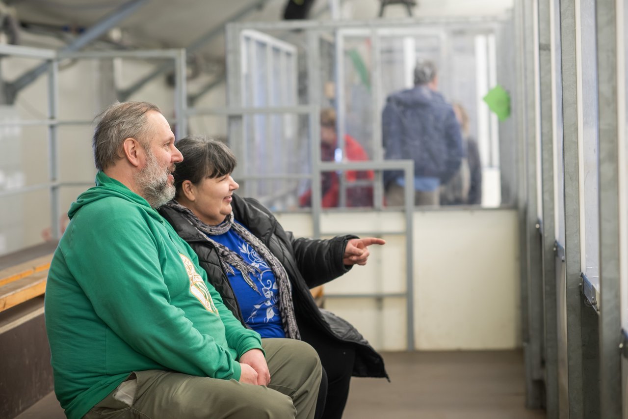 örökbefogadás kőrösi-fehér házaspár Sebestyén László