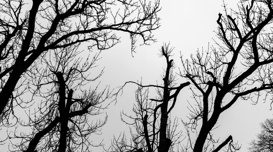 2027_03_bojt_kulturaja