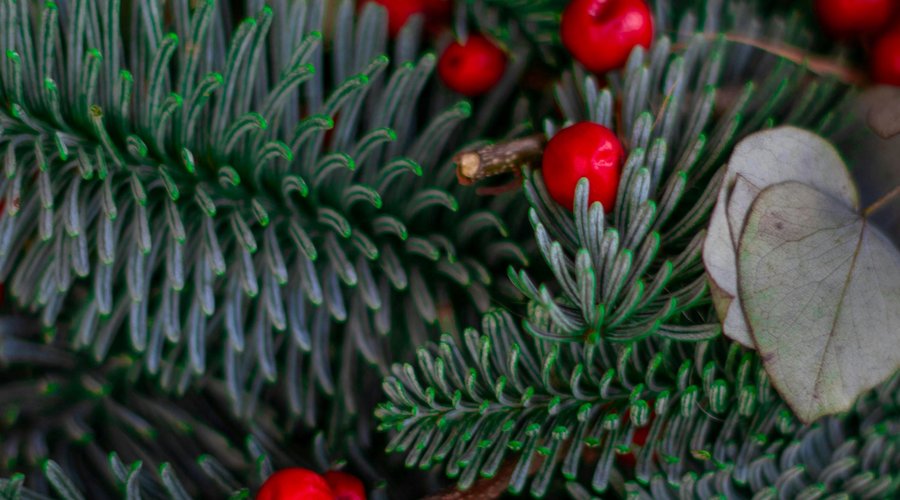 Karácsonyfa, fotó: Pexels