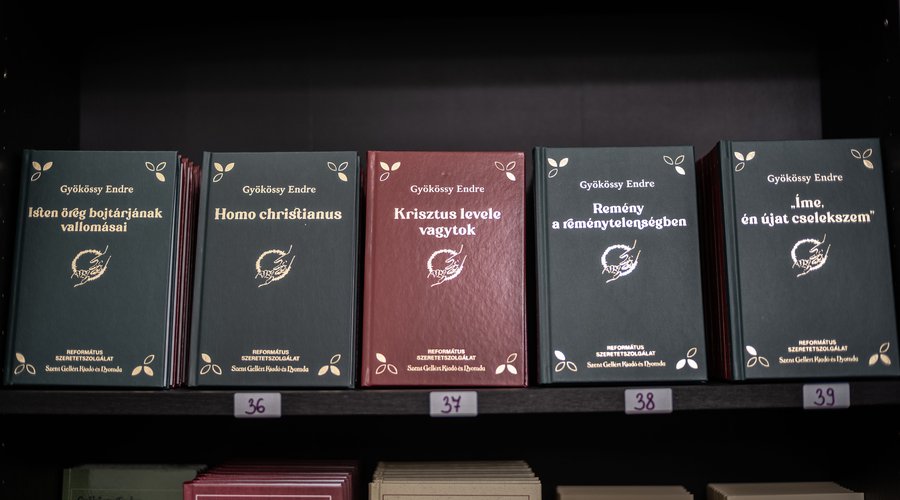 Gyökössy Endre_képek_Todoroff