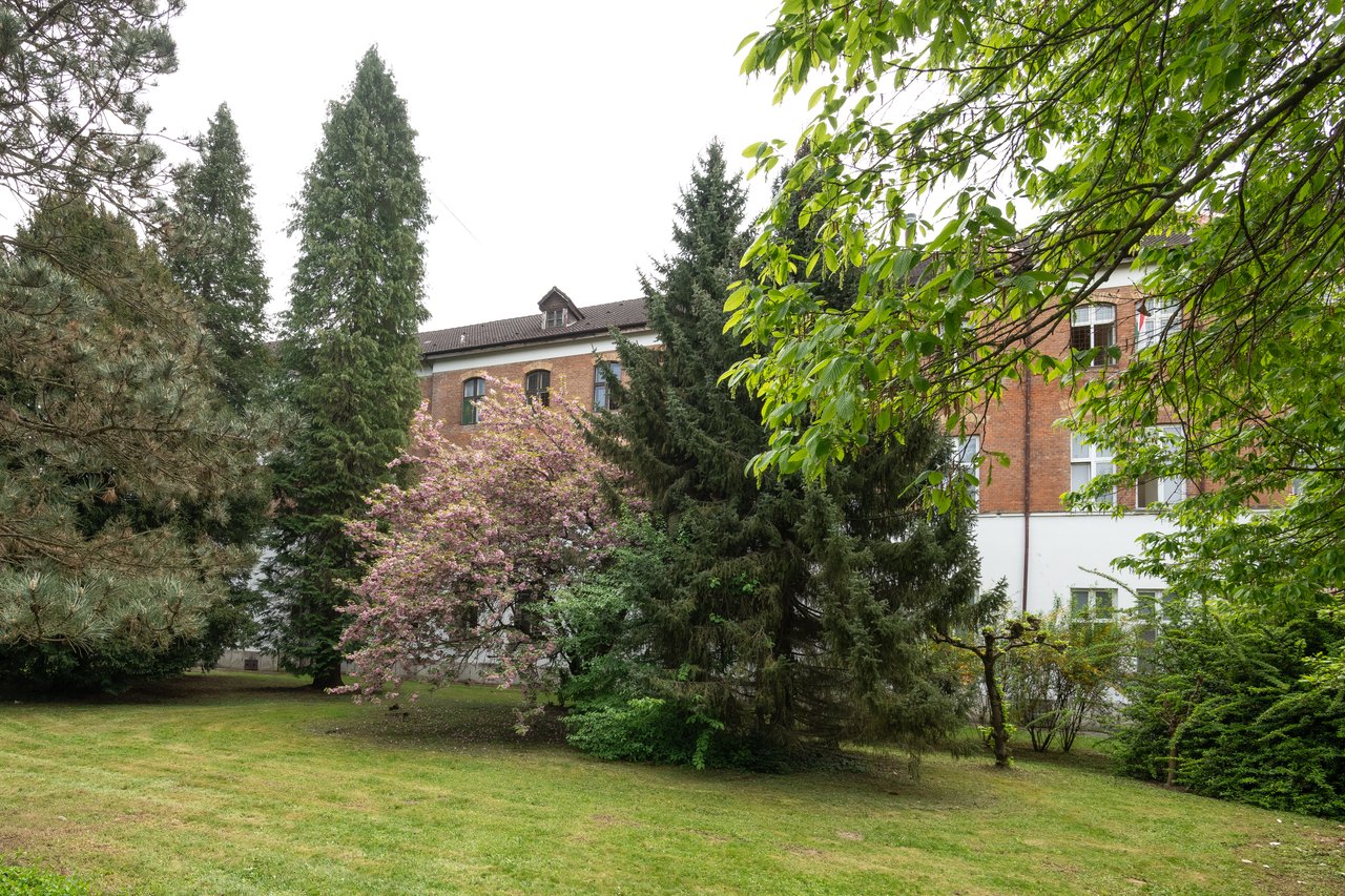 sisakne_pall_dsc_9196 Szentgotthárd Kis Laca