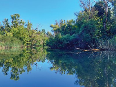 Tisza