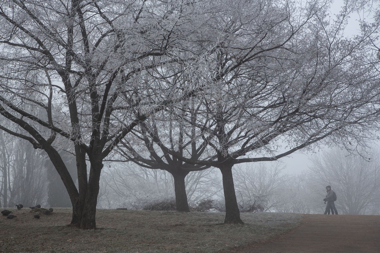 Újév tájkép Hurta Hajnalka